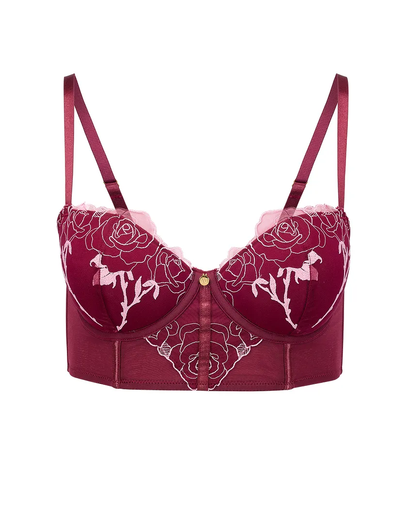 Rosita Dark Red 3 Plus Contour bra bundle Still 6