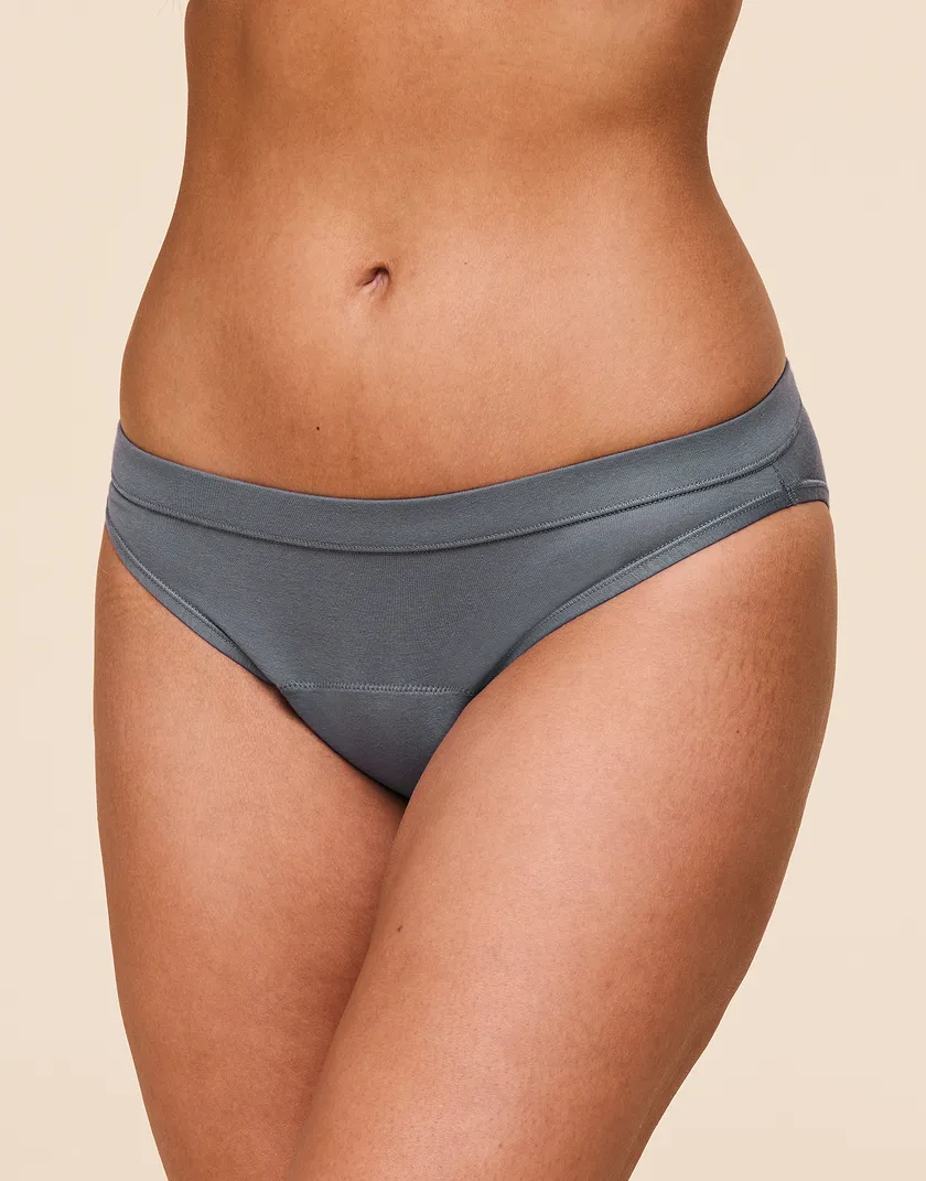 Period Proof Brief Dark Gray panty bundle Model 2